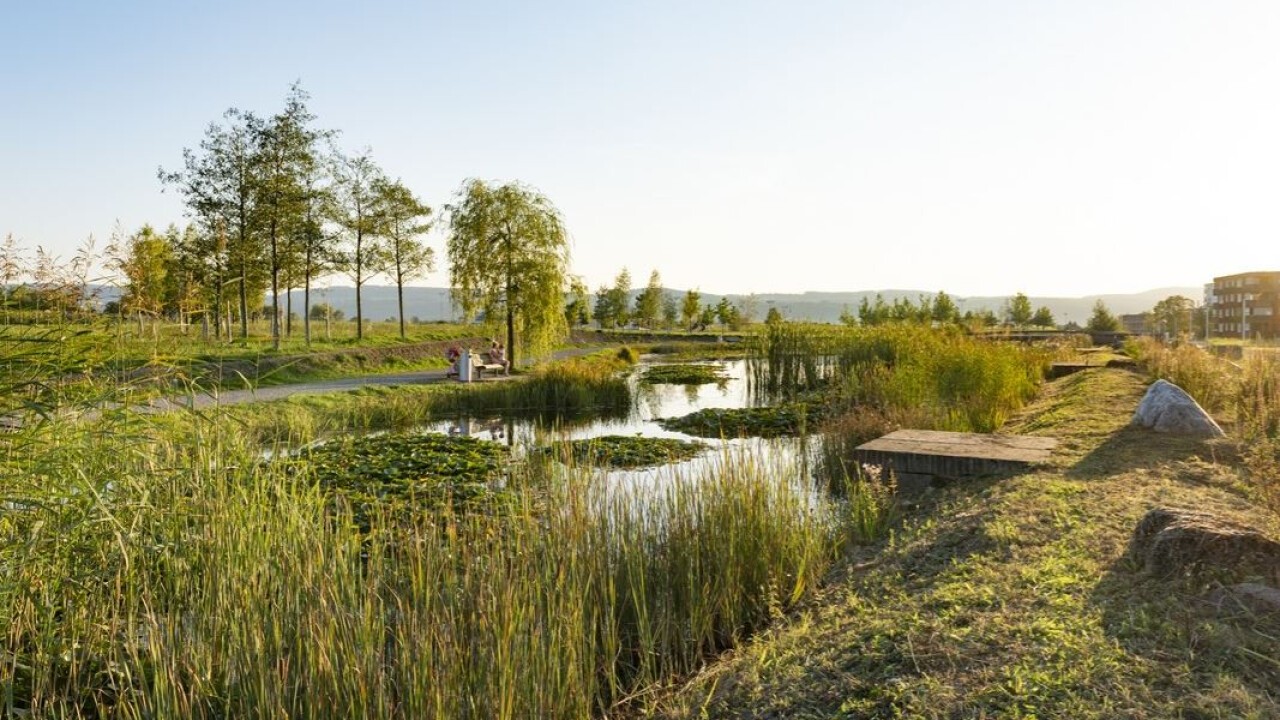 Landschaftsarchitektur: Fertig gestalteter Aussenraum