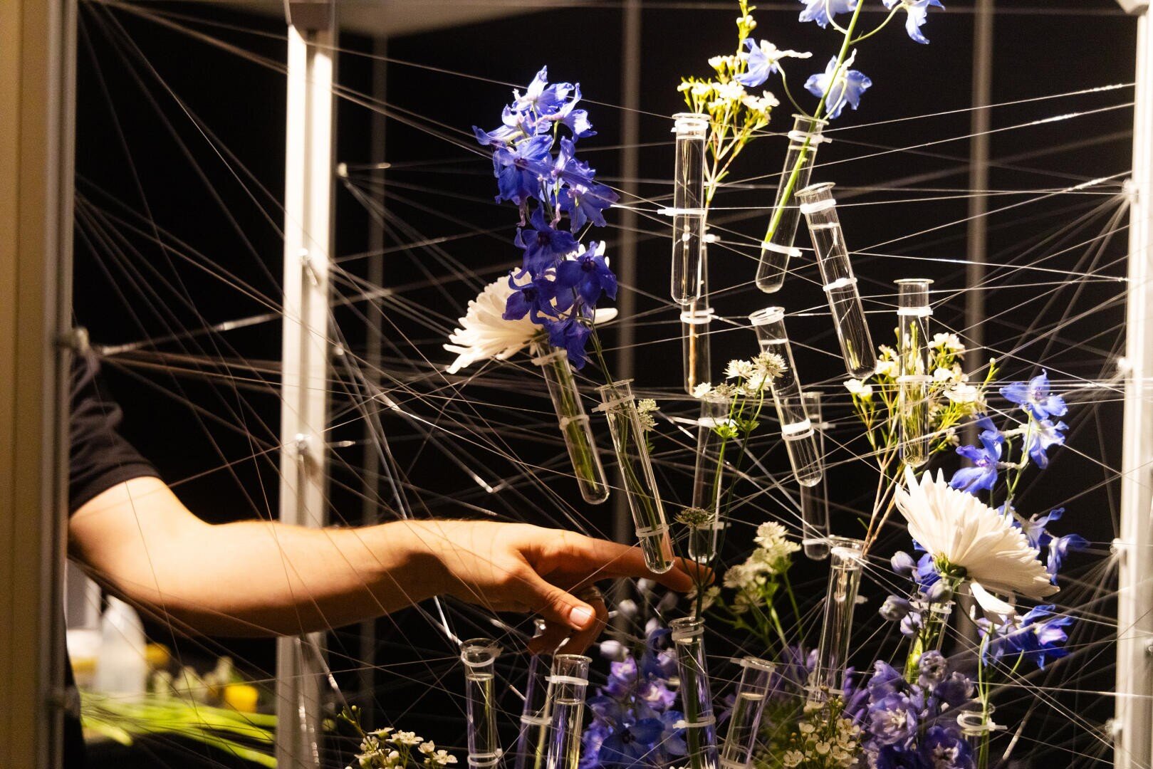 Die Hand einer Person streckt sich nach einem Blumenarrangement in gläsernen Reagenzgläsern aus, das an vielen sich kreuzenden Schnüren aufgehängt ist und blaue und weiße Blüten vor einem dunklen Hintergrund zeigt.