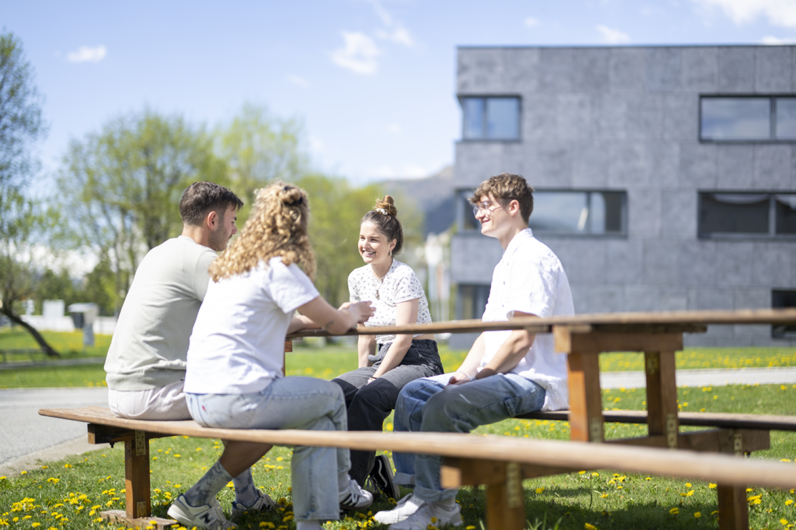 Vier junge Erwachsene sitzen an einem sonnigen Tag an einem hölzernen Picknicktisch im Freien, unterhalten sich und lächeln, während im Hintergrund ein modernes Gebäude und grüne Bäume zu sehen sind.