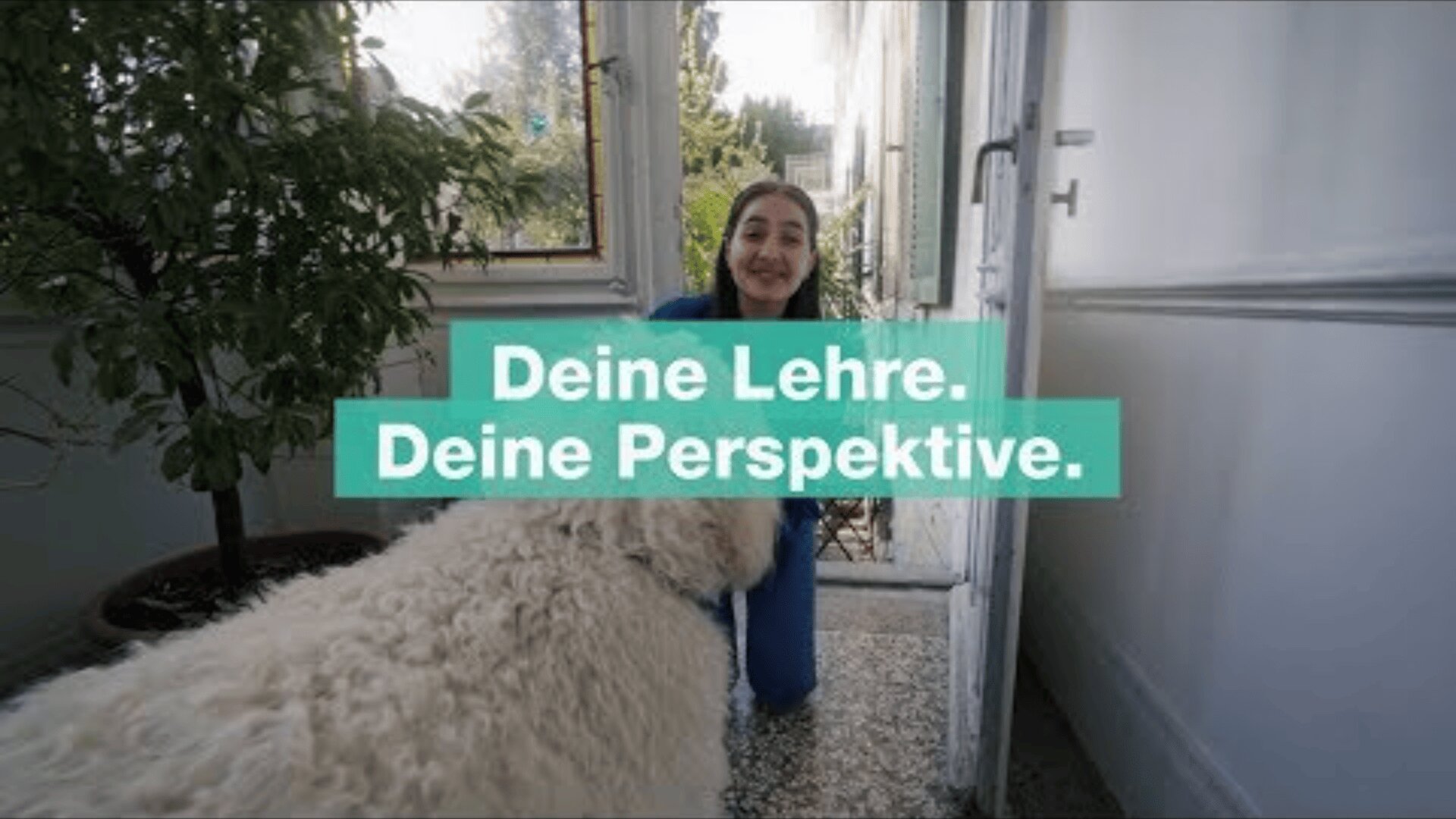 Eine Frau kniet vor einer offenen Tür und lächelt einen großen weißen Hund an. Der Text Deine Lehre. Deine Perspektive. steht in fetten weißen Buchstaben auf einem blaugrünen Hintergrund in der Mitte.
