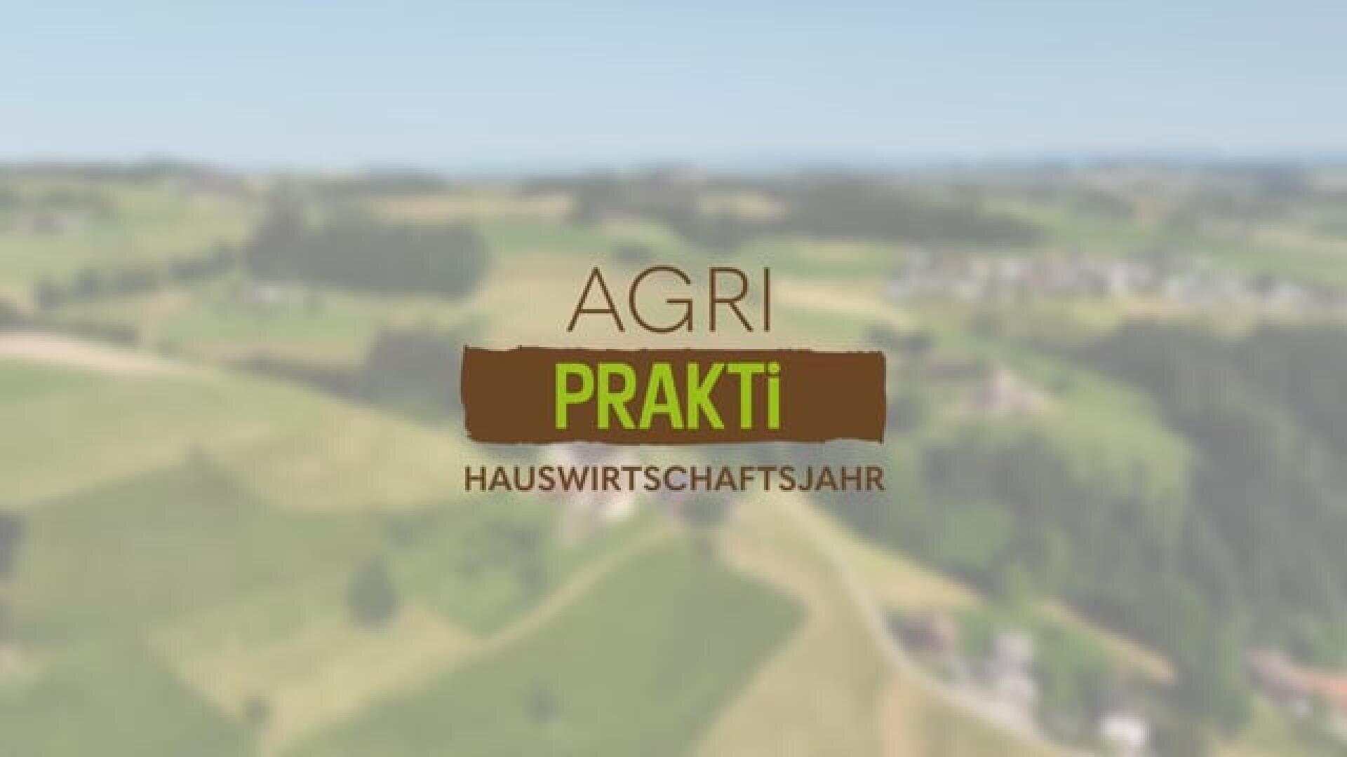 Unscharfe ländliche Landschaft mit dem Schriftzug „AGRI PRAKTI HAUSWIRTSCHAFTSJAHR“ im Vordergrund, teilweise grün und braun hervorgehoben.