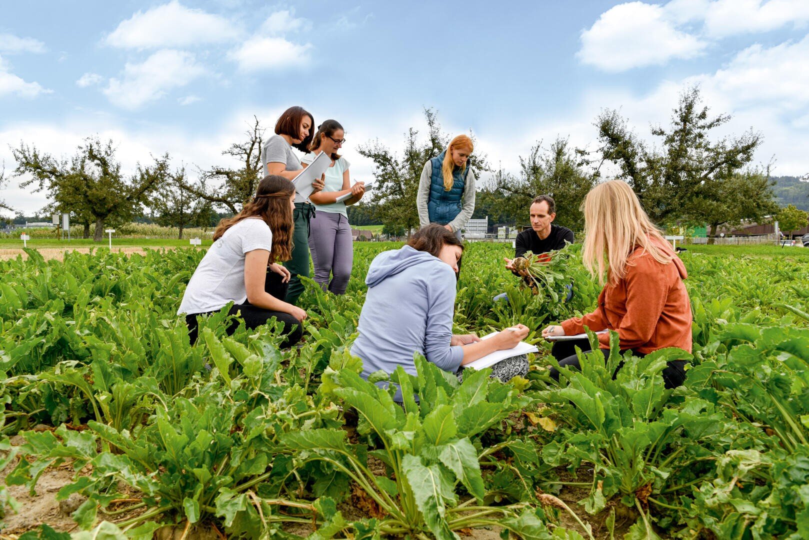 Sieben Menschen haben sich auf einer grünen Wiese versammelt; einige knien und machen sich Notizen, während andere Pflanzen beobachten. Im Hintergrund sind Bäume und ein teilweise bewölkter Himmel zu sehen.