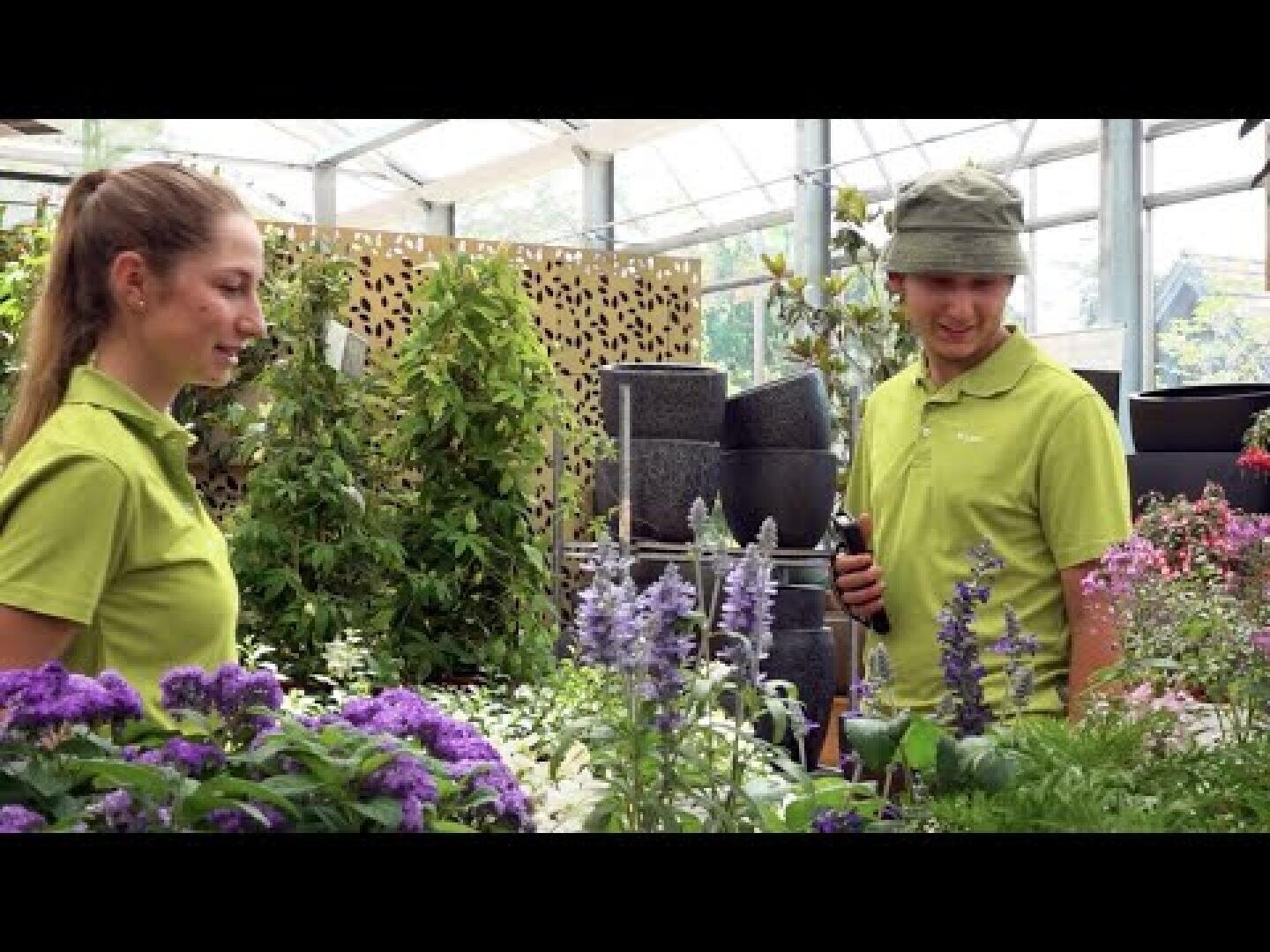 Zwei Personen in grünen Hemden stehen inmitten blühender Pflanzen in einem Gewächshaus und unterhalten sich. Das Gewächshaus ist voller Topfpflanzen und Gartenzubehör.