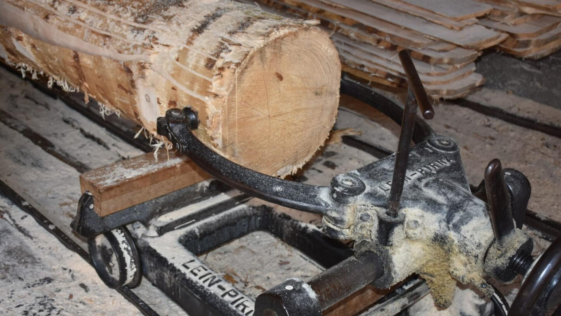 Nahaufnahme eines Baumstamms, der von einer Metallklammer an einer Sägemaschine gehalten wird, mit verstreuten Sägespänen und Stapeln von geschnittenen Holzbrettern im Hintergrund.
