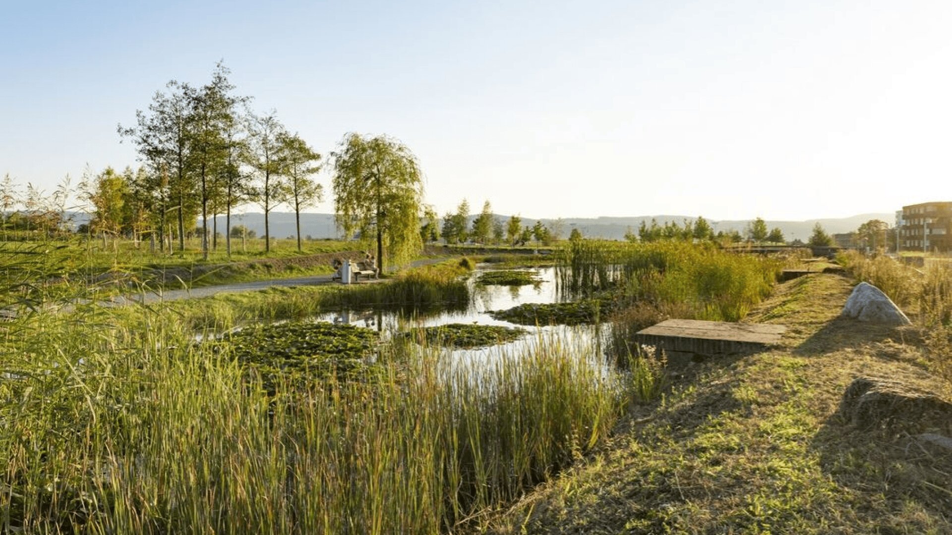 Eine friedliche Parklandschaft mit einem Teich, der von hohen Gräsern und Bäumen umgeben ist, einem Spazierweg und zwei Personen, die am späten Nachmittag unter einem klaren Himmel am Wasser stehen.