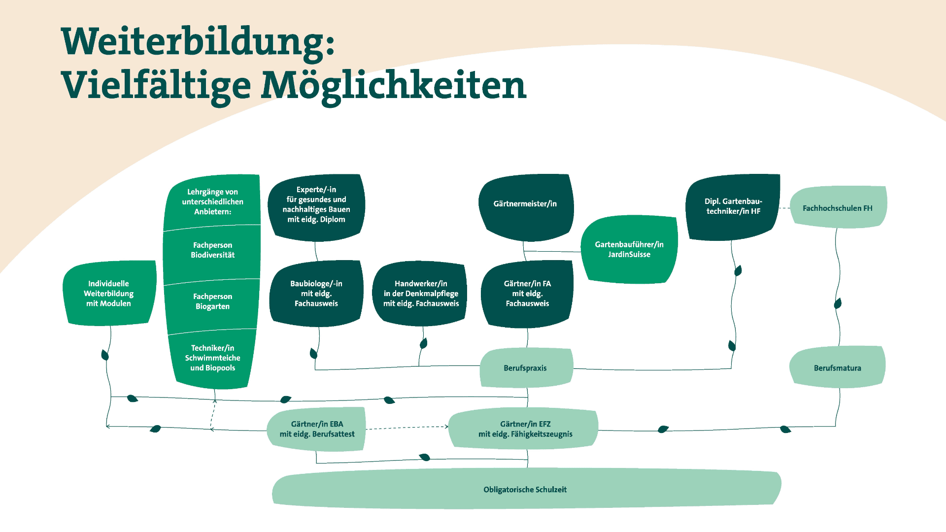 Flussdiagramm auf Deutsch, das verschiedene Bildungswege und Weiterbildungsmöglichkeiten in den Bereichen Gartenbau, Landschaftsbau und Baumpflege vom Schulabschluss bis zur beruflichen Qualifikation darstellt. Grüne Formen kennzeichnen verschiedene Phasen und Optionen.