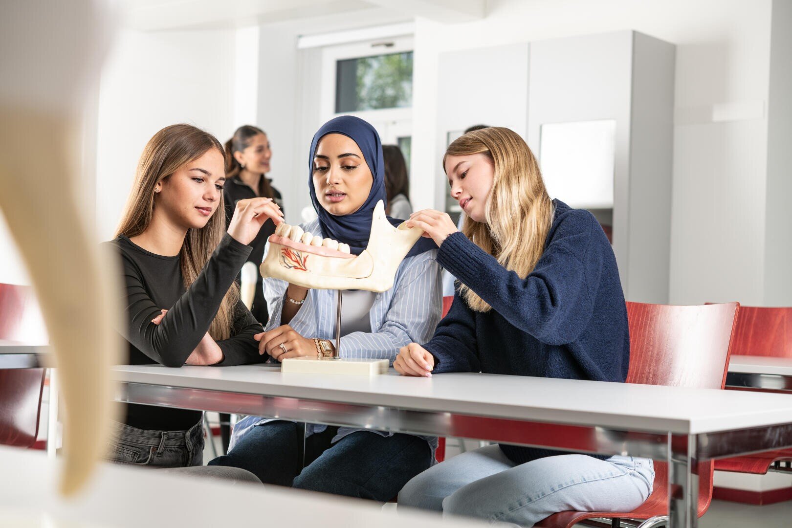 Drei junge Frauen sitzen an einem Tisch im Klassenzimmer und untersuchen ein großes anatomisches Kiefermodell. Eine trägt einen blauen Hidschab, und alle sind auf das Modell konzentriert. Im Hintergrund sind andere Schüler zu sehen.