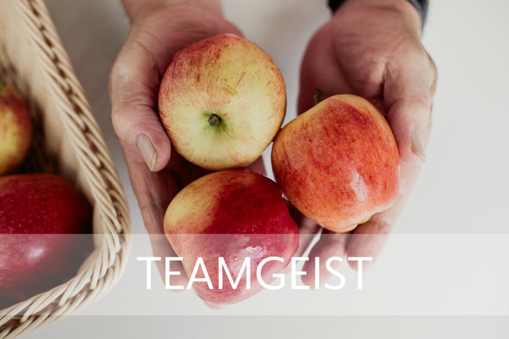 Eine Person hält drei rote Äpfel in den Händen über einem Korb voller Äpfel. Das Wort „TEAMGEIST“ ist in fetten weißen Buchstaben quer über das Bild zu sehen.