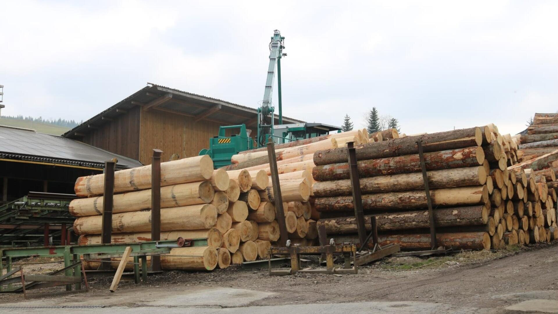 Vor einem Sägewerk stapeln sich große Stapel geschnittener Stämme. Im Hintergrund sind an einem bewölkten Tag Holzgebäude und grüne Maschinen zu sehen.