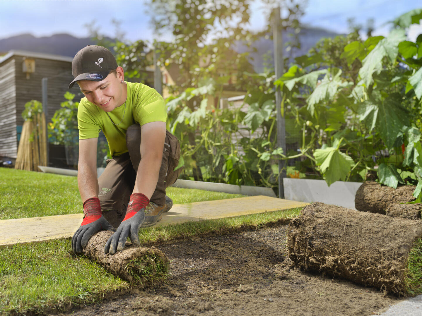 Eine Person mit Handschuhen und Mütze rollt in einem Garten, umgeben von üppigen grünen Pflanzen und Gemüse, Rollrasen auf den nackten Boden aus. Das Sonnenlicht erhellt die Szene und suggeriert einen warmen Tag.
