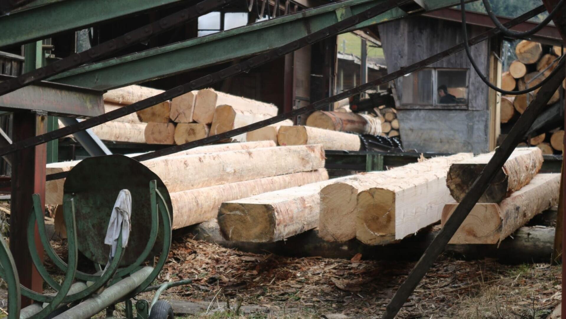 In einem Sägewerk werden große geschnittene Stämme und Kanthölzer gestapelt, wobei Holzspäne auf dem Boden liegen und eine Metallmaschine im Vordergrund zu sehen ist. Ein Arbeiter sitzt in einem kleinen Gebäude im Hintergrund.