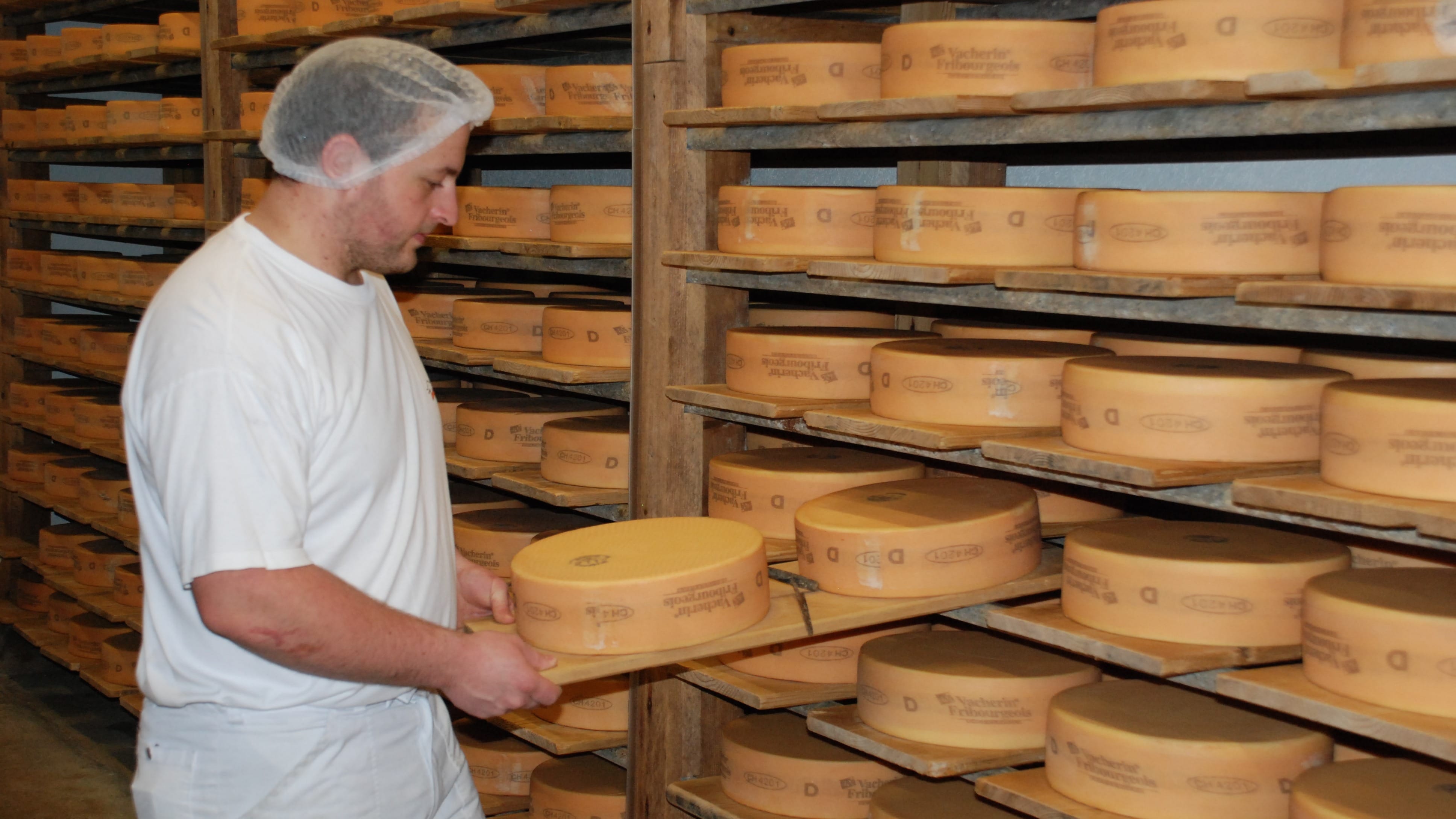 Im Käsekeller wird der Käse affiniert, bis er die gewünschte Qualität aufweist.