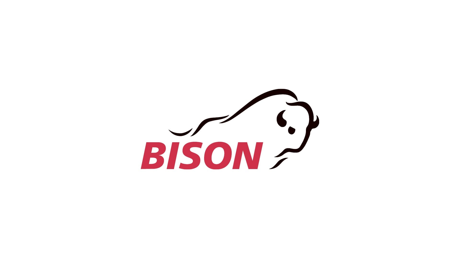 Bison Schweiz AG